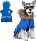 Abrigo Impermeable PINA para Perros Pequeños — Chaqueta de Invierno con Capucha de Piel Sintética y Bolsillo