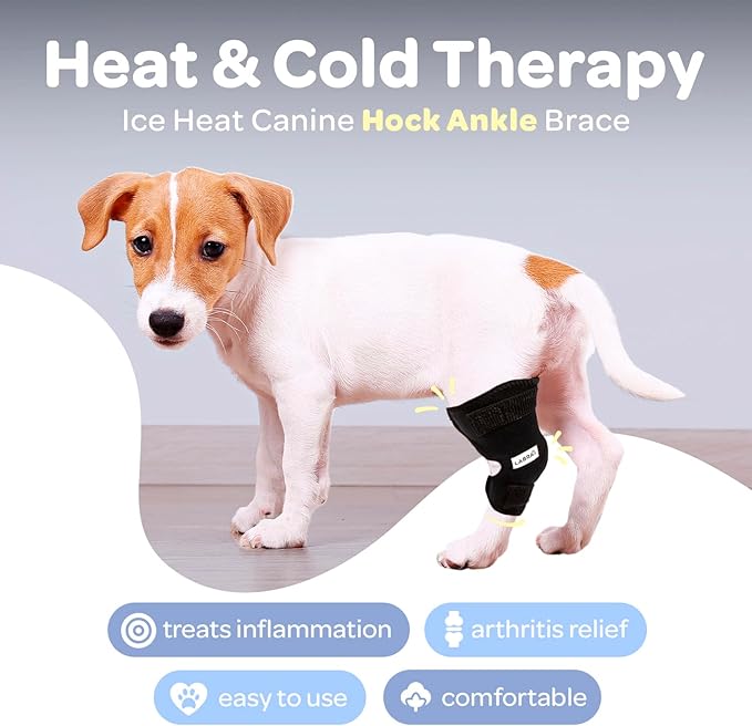 Labra – Compresa de Compresión Frío/Calor para Perros | Alivio Artritis y Dolor en Articulaciones | Aprobado por Veterinarios | NOTA IMPORTANTE: SOLO INCLUYE 1 PROTECTOR, ES PARA RAZAS PEQUEÑAS
