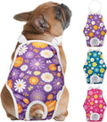 Pañales Lavables para Perras Jollywoods – Pack 3 Body Sanitario con Tirantes, Superabsorbente