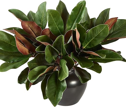 Ramas artificiales de magnolia de 56 cm (22 pulgadas), paquete de 4, tacto real, para interiores y exteriores, para rellenar jarrones, arreglos florales para bodas y el hogar.