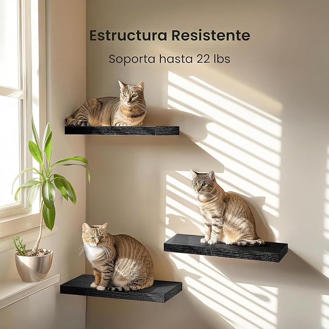 AMADA HOMEFURNISHING - Estantes flotantes negros, estantes de pared con soportes invisibles para dormitorio, baño, sala de estar, cocina, juego de 3 - AMFS07