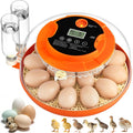 Incubadora de 18 Huevos para Empollar, Incubadora de Volteo Automático de Huevos y Control de Humedad para Empollar Pollo Pato Codorniz Paloma Faisán Perdiz Hogar Aula Laboratorio