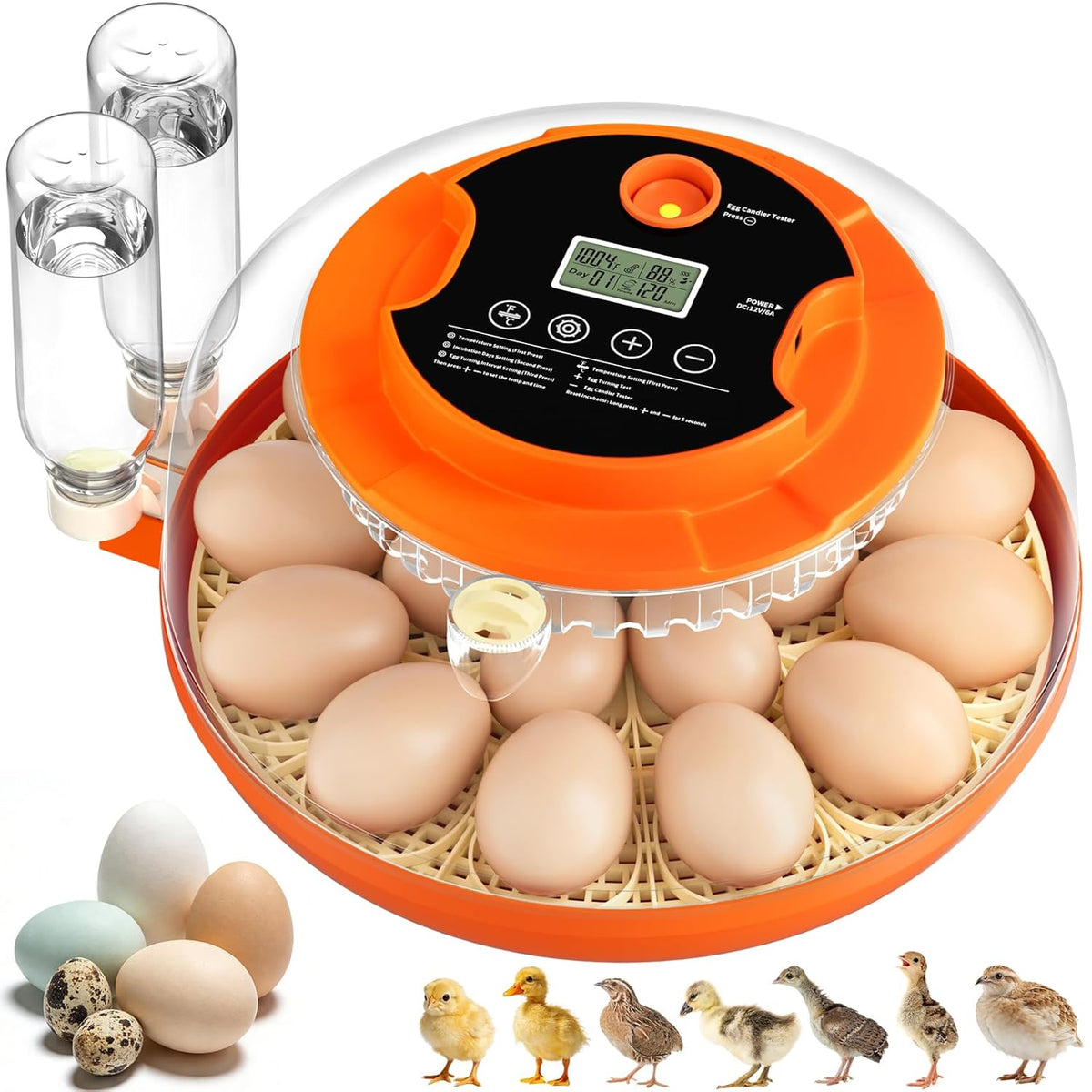 Incubadora de 18 Huevos para Empollar, Incubadora de Volteo Automático de Huevos y Control de Humedad para Empollar Pollo Pato Codorniz Paloma Faisán Perdiz Hogar Aula Laboratorio