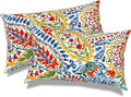 Cojines Lumbares para Exterior Repelentes al Agua 12x20 Pulgadas con Relleno, Diseño Paisley, Pack de 2