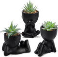 Plantas Suculentas Artificiales Der Rose – Pack de 3, Decoración para Hogar, Baño, Dormitorio y Halloween