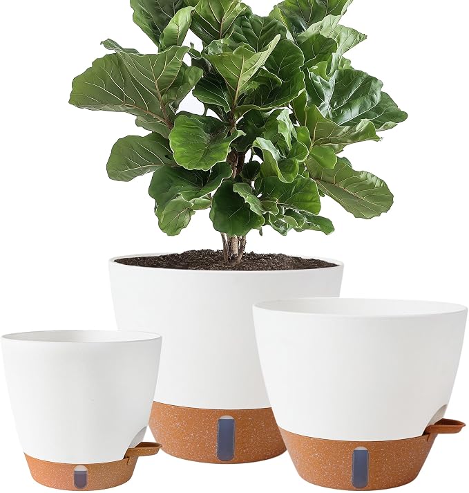 Macetas de Riego Automático para Plantas Interior/Exterior – Plástico con Drenaje, Indicador de Agua y Reservorio | Pack de 4