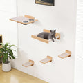 Estantes de pared para gatos PATHOSIO PETS que ahorran espacio Trepador de pared interactivo para gatos con hamaca y comedero a prueba de perros para razas pequeñas y medianas de interior Madera natural maciza con alfombra beige