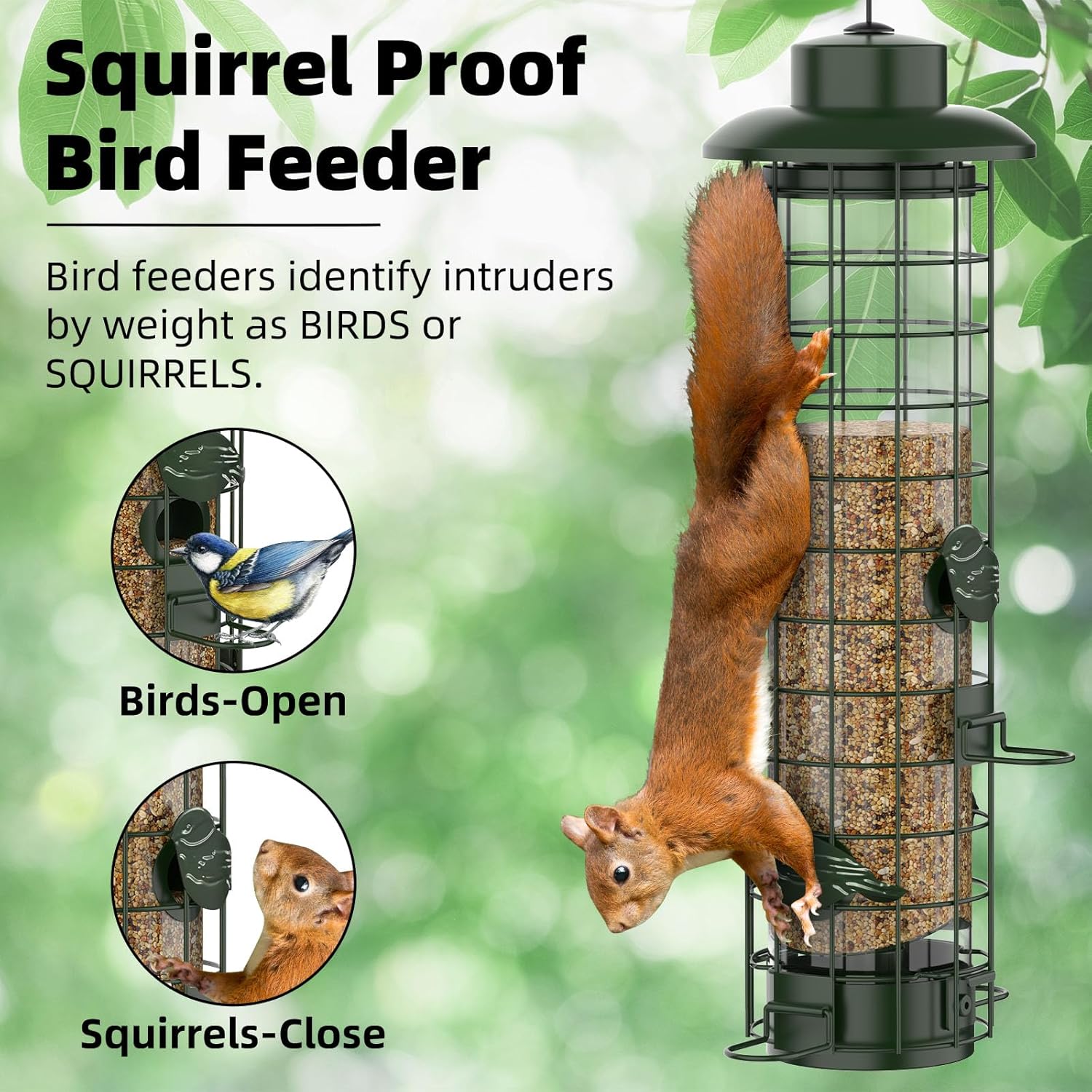 Comedero para Pájaros Anti-Ardillas de Malla Metálica 3LB — Protección por Gravedad, Para Colgar al Aire Libre — Verde