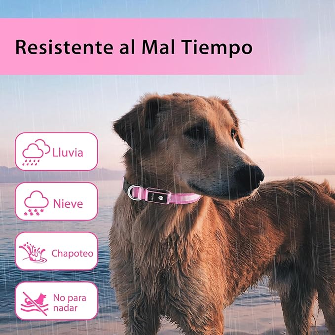 PcEoTllar Collar de Perro Iluminado para Caminatas Nocturnas - Collar de Perro LED Recargable con Cambio de Color, Collares de Perro que Brillan en la Oscuridad Impermeables para Perros Grandes