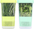Pack 2 Recipientes LAWNFUL para Hierbas Frescas – ⚠️ UNO TRAE EL PLÁSTICO QUEBRADO | Sin BPA | Cilantro, Perejil, Menta y Espárragos