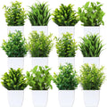 Unittype - 12 plantas falsas pequeñas, plantas artificiales, maceta blanca