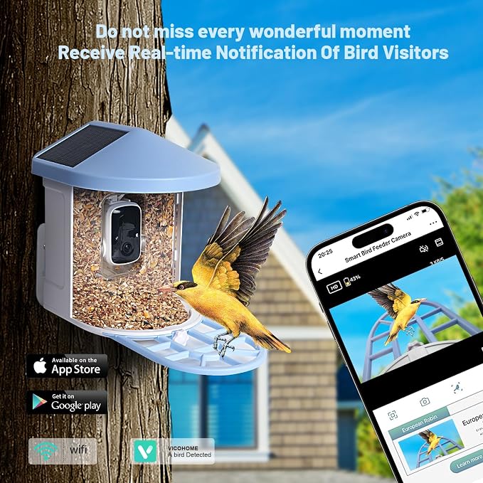 Comedero de Ardillas con Cámara Solar 1080P HD – Alimentador de Pájaros con IA Identificador de Especies, Captura Automática, Tarjeta SD 64GB Incluida