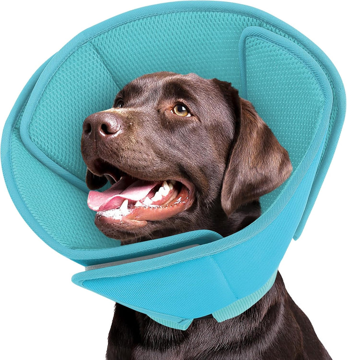 Conos protectores Queenmore para perros grandes, cono blando para evitar que el perro se lama después de una cirugía, alternativa ajustable al collar isabelino para la cicatrización de heridas, azul claro, extragrande.