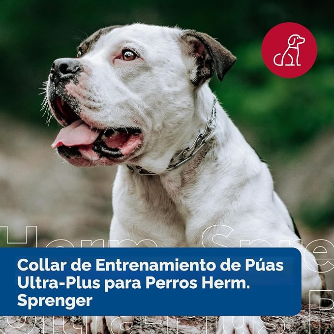 Collar de Entrenamiento Ultra-Plus de Punta Herm Sprenger — 4mm x 23.6 inch, Recubrimiento de Cromo
