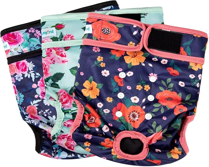 Paw Legend - Paquete de 3 pañales lavables y reutilizables para perras en celo para perritas (Tamaño Mediano)