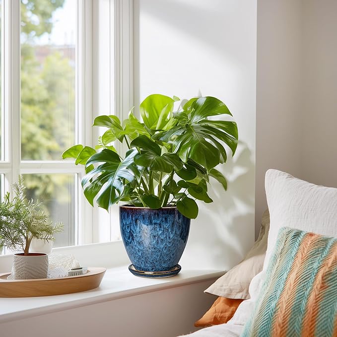 Maceta de 6 Pulgadas - Macetas Cerámicas para Plantas con Agujero de Drenaje y Platillo, Macetas Cerámicas para Plantas de Interior y Exterior, Maceta Decorativa Redonda