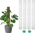EOX Postes de Musgo para Monstera 24 Pulgadas en Forma de D – Estacas para Plantas Trepadoras con Musgo Sphagnum