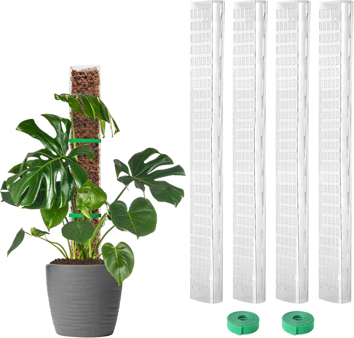 EOX Postes de Musgo para Monstera 24 Pulgadas en Forma de D – Estacas para Plantas Trepadoras con Musgo Sphagnum