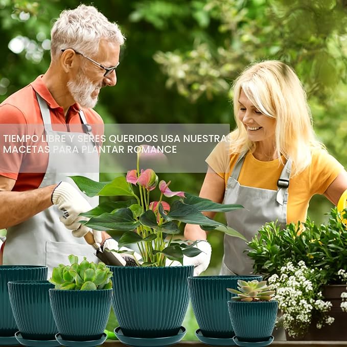 Macetas de interior con platillos y drenaje - Paquete de 6 macetas de flores - Maceteros de plástico para plantas de interior - Tamaños de 7.5/6.6/5.8/5.0/4.3/3.5 pulgadas para todos los