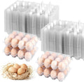 ZHIGLMYD Paquete de 100 cajas de plástico para huevos (12 unidades cada una) - Envases reutilizables transparentes y económicos para huevos de gallina, docenas de soluciones para almacenar huevos.