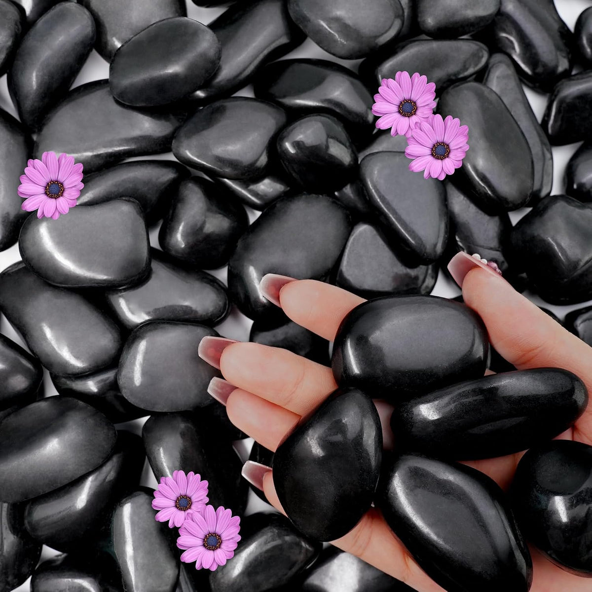 Piedras de Río Negras 7,25 kg (16 lb) – Guijarros Naturales Pulidos 2,5-5 cm para Plantas, Acuarios, Paisajismo y Decoración