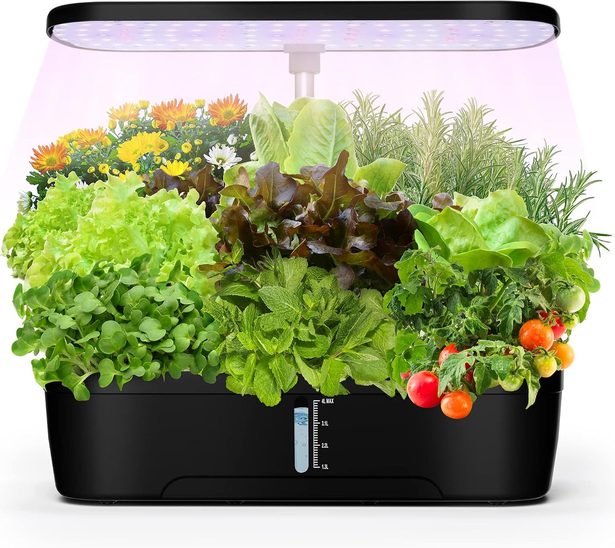 Sistema de cultivo hidropónico para jardín interior CYBSDF con 12 cápsulas, jardín de hierbas para interiores con luz LED de cultivo, altura ajustable hasta 30 cm, hidroponía para toda la familia.
