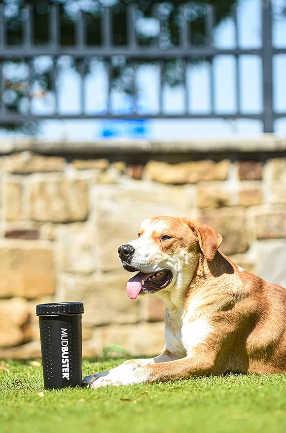 Dexas MudBuster Edición Especial - Limpiador portátil para patas de perro, grande, negro mate