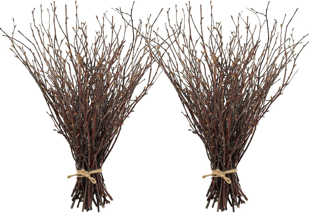 Ramas Secas Naturales de Abedul Uieke – 100 Piezas de 17 Pulgadas Para Manualidades, Floreros, Bodas y Decoración