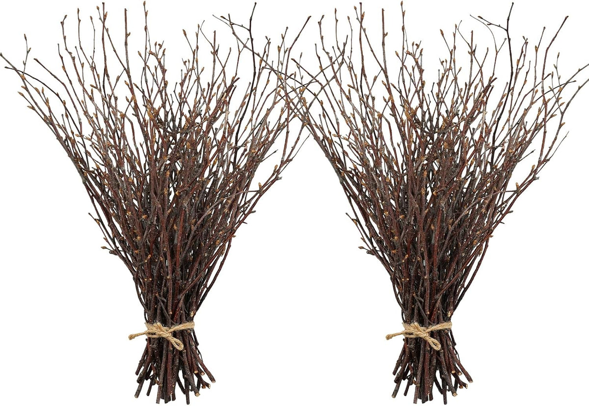 Ramas Secas Naturales de Abedul Uieke – 100 Piezas de 17 Pulgadas Para Manualidades, Floreros, Bodas y Decoración