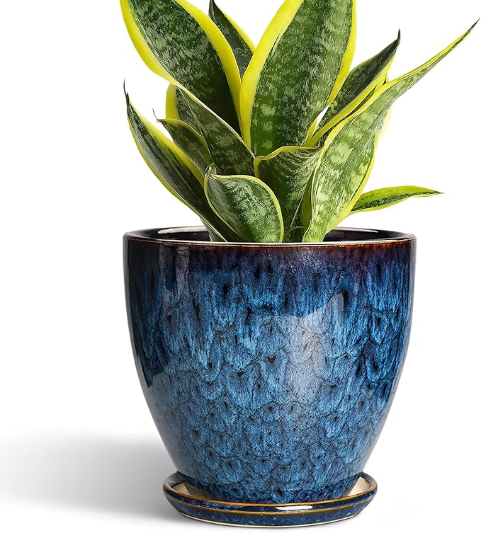 Maceta de 6 Pulgadas - Macetas Cerámicas para Plantas con Agujero de Drenaje y Platillo, Macetas Cerámicas para Plantas de Interior y Exterior, Maceta Decorativa Redonda
