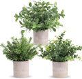 Der Rose Paquete de 3 mini plantas artificiales en maceta, plantas de eucalipto artificiales de plástico, topiarios para decoración del hogar, oficina, escritorio, estilo rústico, estante, habitación, baño (verde)