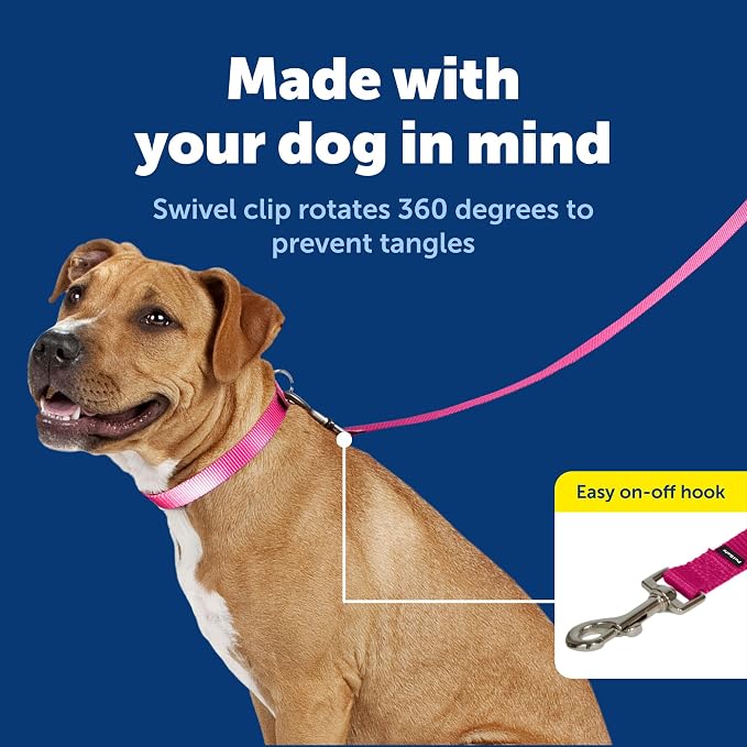 Correa de nailon PetSafe - Nailon resistente para paseos diarios - Correa para mascotas duradera con clip de fijación rápida - Agarre suave y cómodo - 4 pies - Rosa frambuesa
