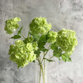 RUZUQE 4 piezas flor artificial bola nieve viburno 68 cm tallo largo, hortensia verde toque real látex artificial, decoración hogar navidad mesa navidad