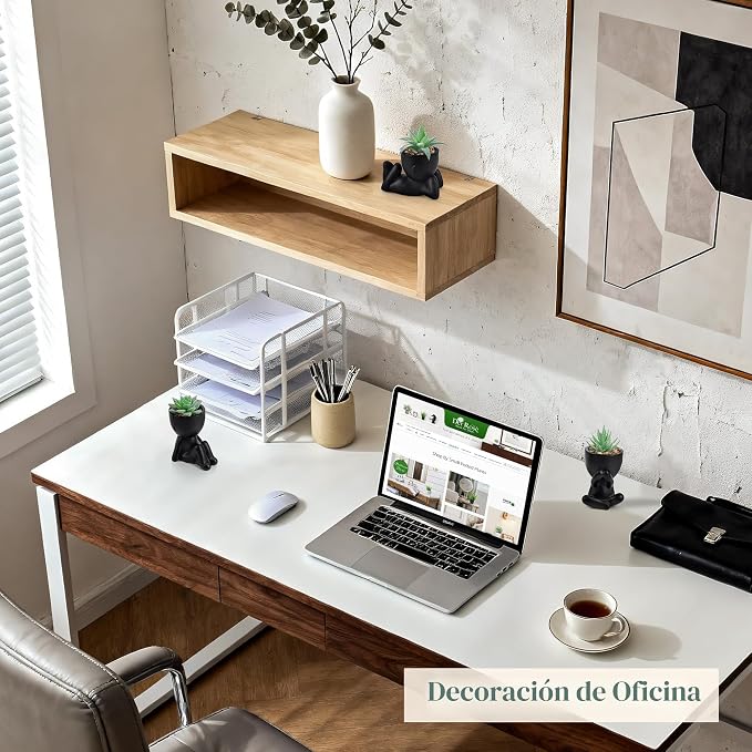 Plantas Suculentas Artificiales Der Rose – Pack de 3, Decoración para Hogar, Baño, Dormitorio y Halloween