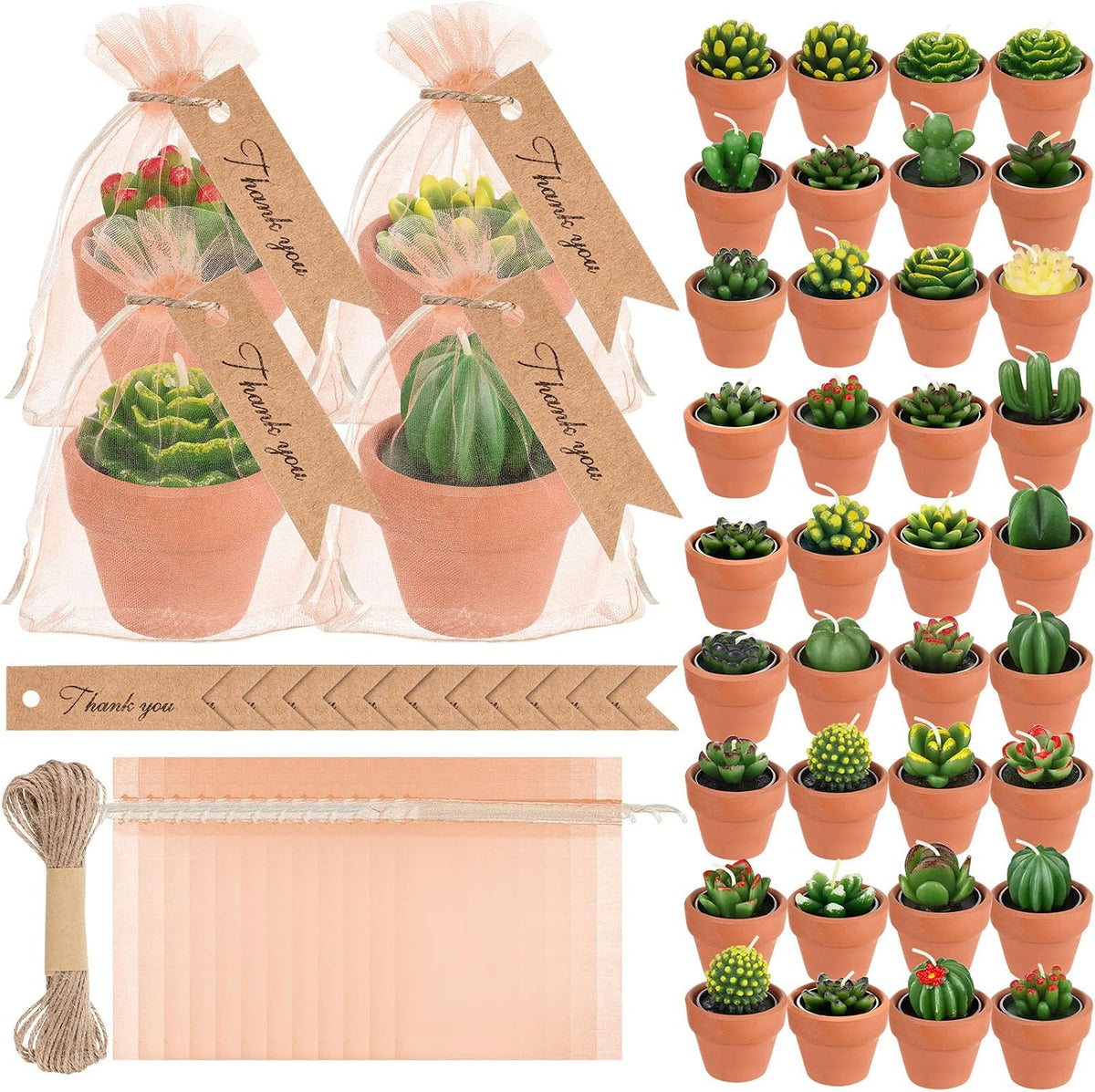MTLEE, juego de 36 velas de té con diseño de suculentas para recuerdos de boda, baby shower y celebraciones