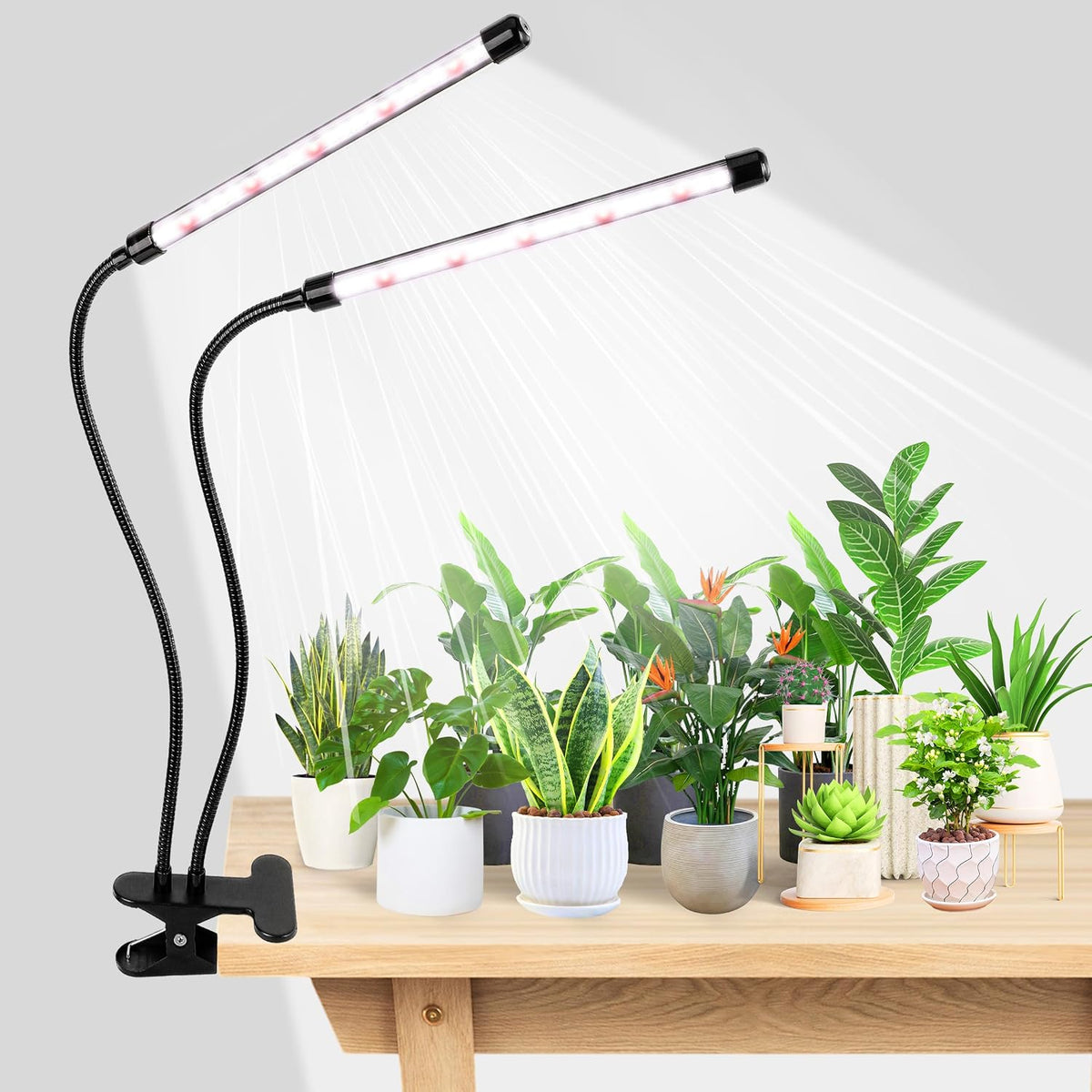 Lámpara de cultivo EWPJDK 6500K de espectro completo para plantas, 84 LED, con clip, para plantas de interior.