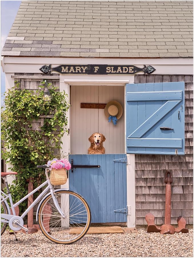 Galison Gray Malin Nantucket - Rompecabezas de libro de 1000 piezas con fotografía de Nantucket de ensueño empaquetado en caja magnética de tamaño libro de recuerdo