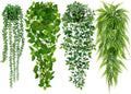 Plantas Artificiales Colgantes Palonu – Pack de 4 en Maceta: Hiedra, Helecho Persa, Mandala y Collar de Perlas