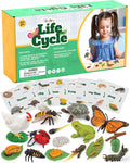 Life Cycle Animal Kit - Montessori Science Toy with 24-Piece Matching Game, Butterfly, Frog, Chicken, Bee, Ladybug & Turtle STEM Educational, Stocking Stuffers for Kids Ages 3-8