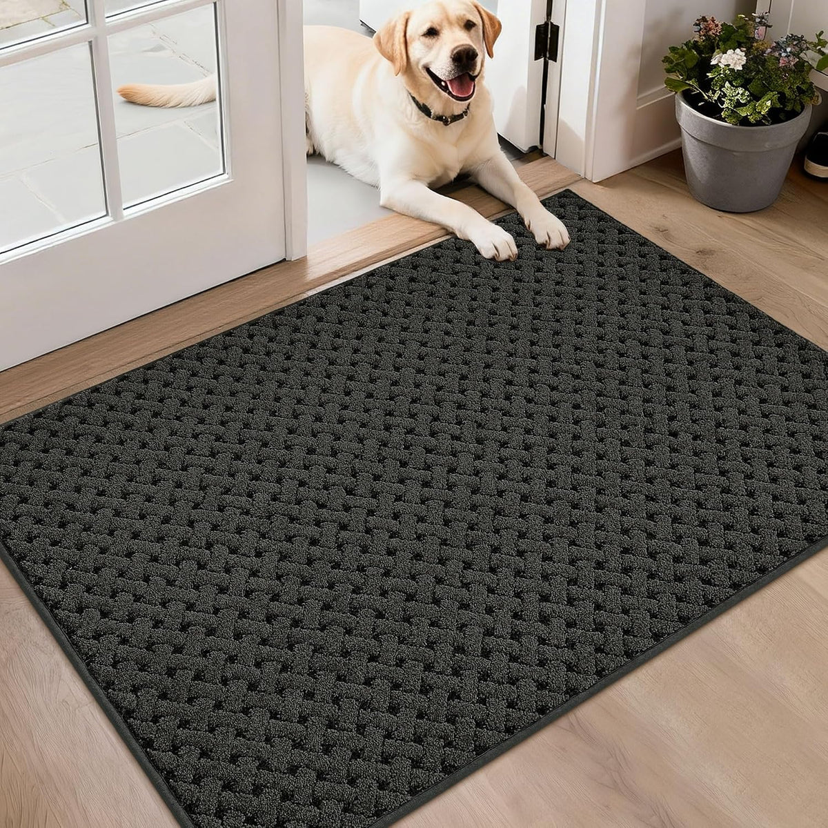 BEQHAUSE Tapete Atrapa Suciedad para Entrada | Antideslizante, Absorbente, Lavable, 32'' x 48'' (Gris Oscuro)