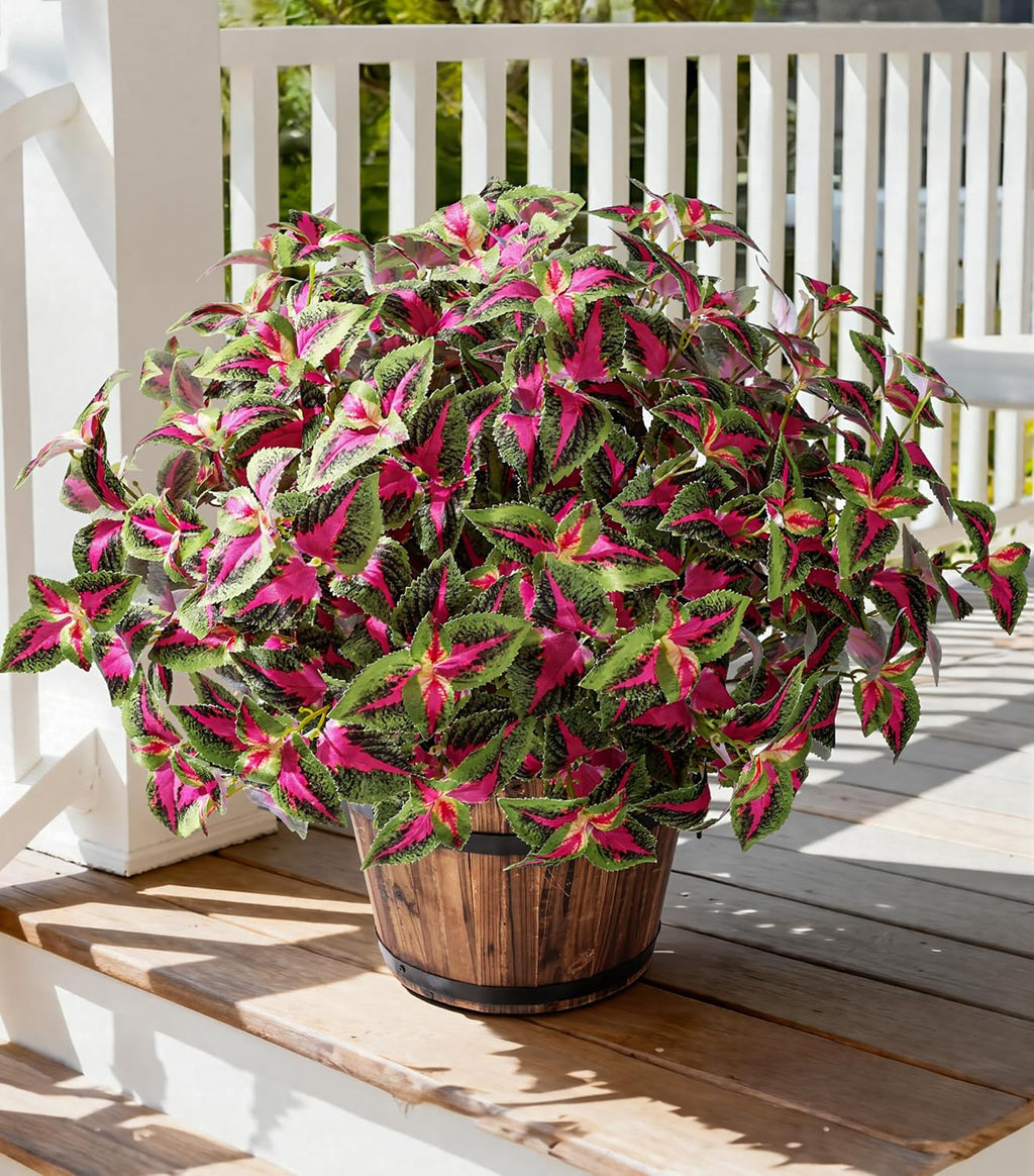 florisso Plantas Artificiales de Vegetacion para Exterior | 5 Piezas | Coleus Falso Resistente a UV | Plantas de Seda con Tallos | Jardin, Patio y Porche | Rojo