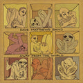 Away From The World – Dave Matthews Band (CD)