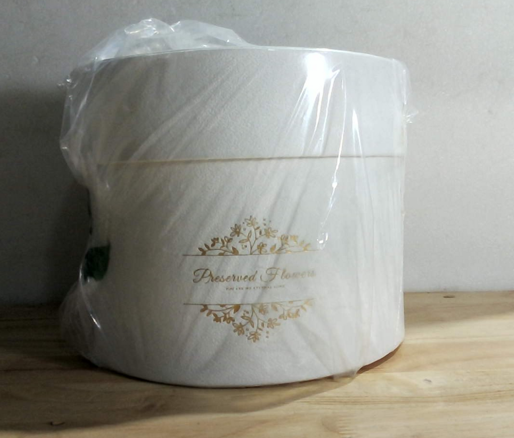 17 Rosas Preservadas en Caja de Gamuza – Regalo Romántico para Ella, Color Blanco