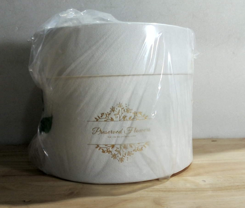17 Rosas Preservadas en Caja de Gamuza – Regalo Romántico para Ella, Color Blanco