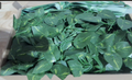 Planta Artificial de Hojas Verdes Money Plant (Pothos) – Follaje Artificial Realista para Decoración de Interiores sin Mantenimiento