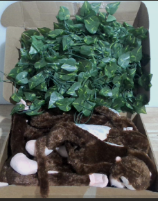 Kit de decoración de selva o safari con monos de peluche