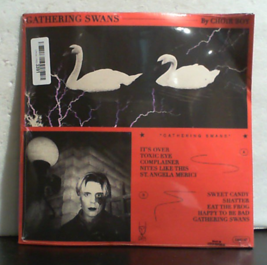 Reuniendo cisnes - Claro