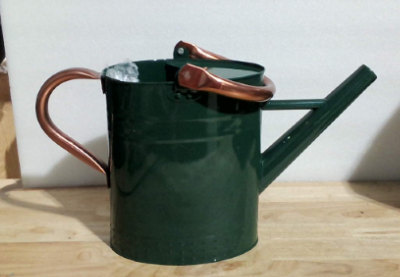 Regadera metálica Megawodar de 1 galón con boquilla extraíble, bonita regadera de acero galvanizado con diseño en relieve para plantas de interior y exterior.