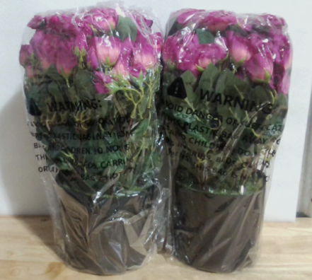 paquete de 2 plantas o macetas con rosales artificiales (2-Pack Artificial Potted Rose Bushes)