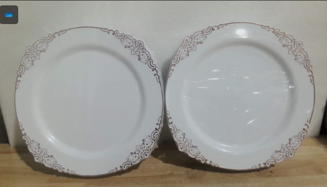 platos de plástico desechables de alta resistencia (premium) con un diseño de borde festoneado de estilo barroco ( ARTICULO VIENE COMO SE MUESTRA EN LA IMAGEN 1 Y 2 TOTAL 100 UNIDADES